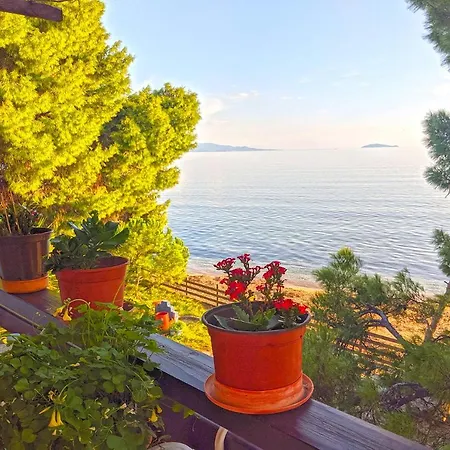 Barlee Ii Beach Front House, 度假居 美塔摩尔弗斯