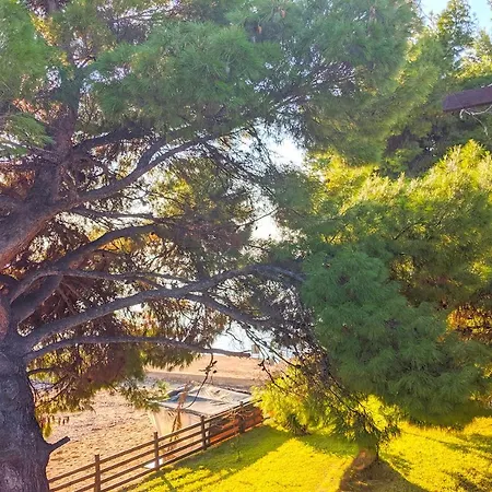 Barlee Ii Beach Front House, * 美塔摩尔弗斯